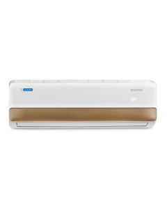 BLUESTAR ONU INVERTER AC